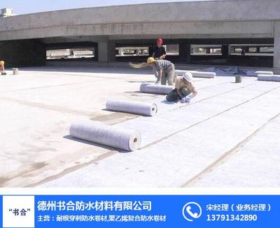 耐根穿刺防水卷材在防水工程中的應(yīng)用與施工要點(diǎn)