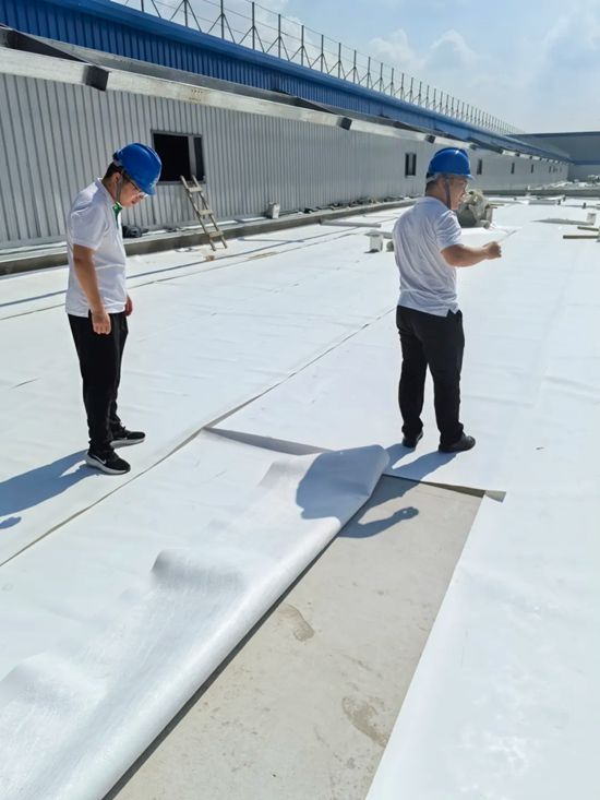 三棵樹TPO防水卷材為中天鋼鐵集團(tuán)工廠建設(shè)注入可靠保障